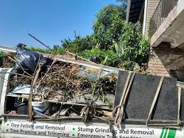 Best Hoarding Cleanup  in Sparta, GA